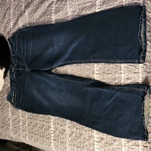 Maurices Size 22 Jeans